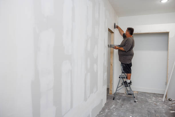 Best Mold Odor Removal Services  in Paradise, NV