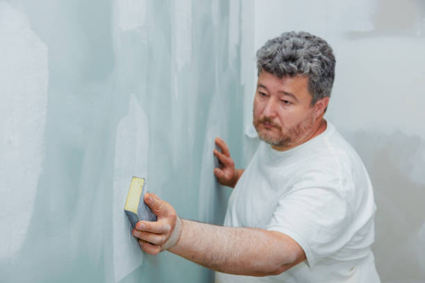 Mold Odor Removal Services in Paradise, NV