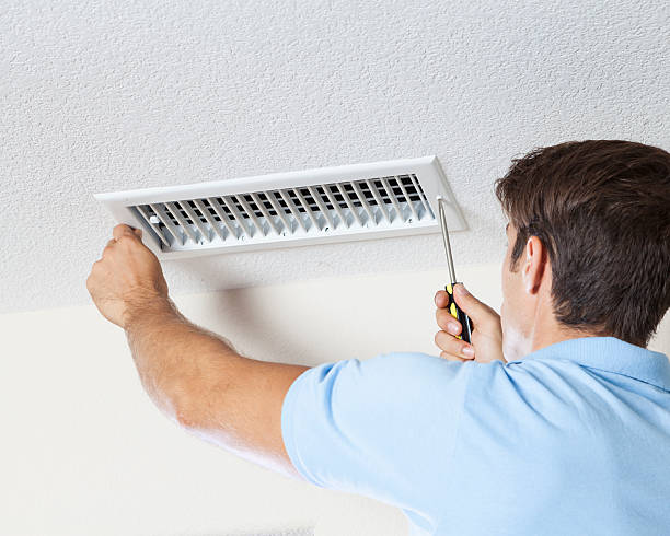 Best HVAC Mold Inspection and Cleaning  in Paradise, NV