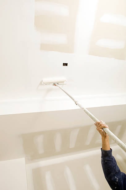 Best Mold Damage Restoration  in Paradise, NV